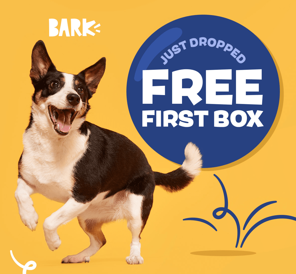 Read more about the article BarkBox New Year’s Coupon Code – First Box FREE